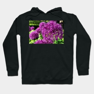 Purple Allium Hoodie